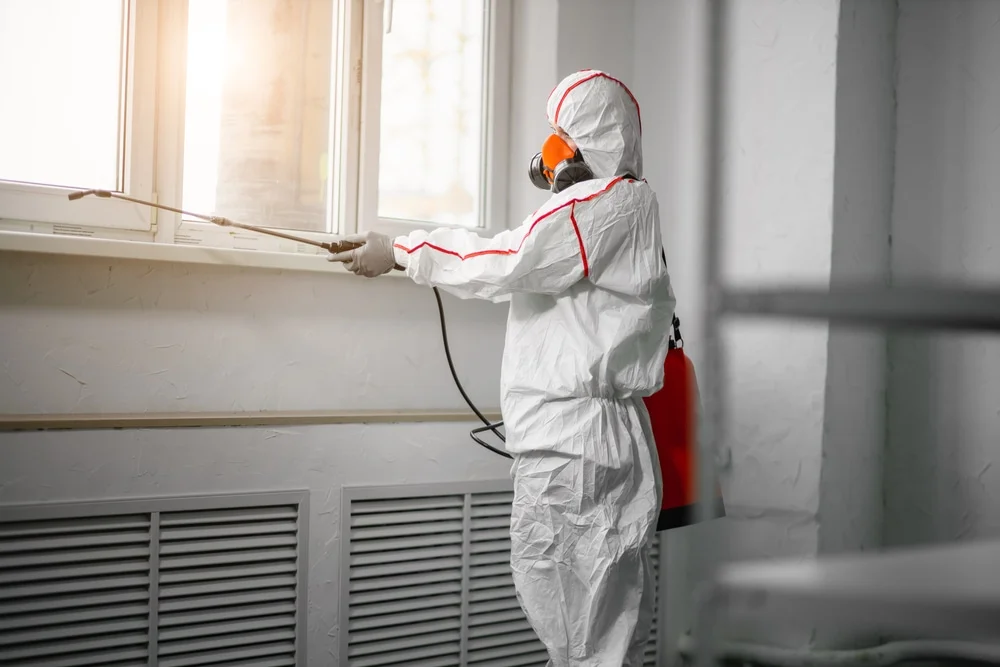 Professional mold remediation services in Phenix City, AL